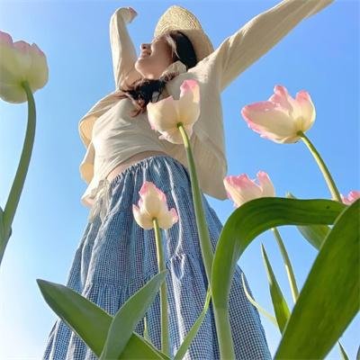 龙之信条